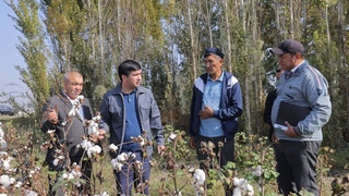 Азиз Воитов: “Ўзбекистонда пахта нархини эркин бозор белгилайди”