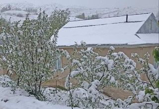 Қашқадарё ва Жиззахнинг тоғли ҳудудларига қор ёғяпти