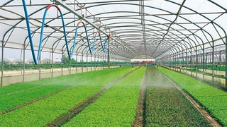 Ученые Узбекистана разработали уникальное покрытие для теплиц