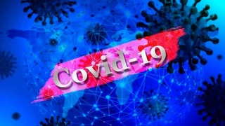 29 апреля: коронавирус, специалисты, послабления