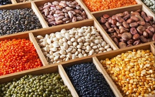 Расширяются поставки узбекской продукции на рынок Болгарии