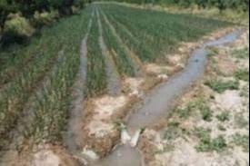 Сувдан фойдаланишда уни исроф қилиш кечирилмас ҳолдир