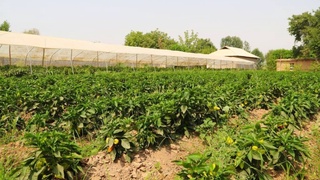 60 район ҳәм қала кәмбағаллықтан жырақ аймаққа айланады