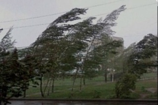 Aholini kuchli shamol oqibatlaridan ogohlantirilmoqda