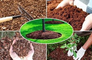 Органик маҳсулотлар, хомашёлар ва ўғитларга қўйиладиган талаблар белгиланди