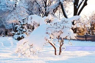 Oʻzbekistonda havo harorati yana sovib ketishi kutilmoqda