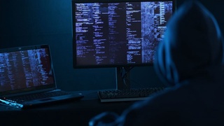 Более тысячи баз данных были стерты с помощью «мяукающей» атаки