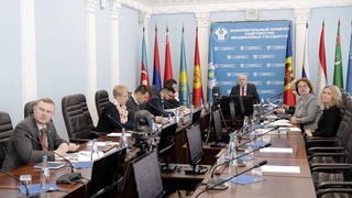 Эксперты стран СНГ согласовали проект мероприятий по проведению в 2023 году Года русского языка