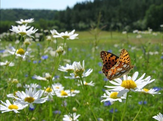 Прогноз погоды на 16 июля
