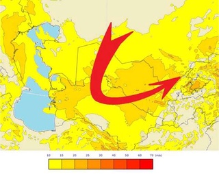 O'zgidromet kuchli shamol va chang-to'zondan ogohlantiradi