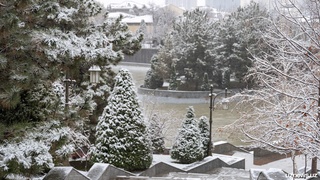 Kechqurungi qordan so‘ng Toshkent havosi yaxshi darajaga chiqdi
