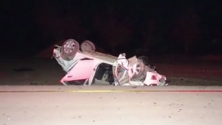 Сурхондарёда «Cobalt» ағдарилиб кетиб, ҳайдовчи ҳалок бўлди