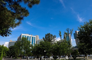 Salqin havo ish haftasining oxirigacha saqlanib turadi