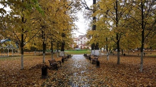 Weather forecast for October 23rd