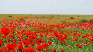 Сохранению равновесия экологической среды - усиленное внимание