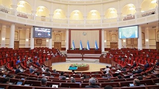 Предусматривается принятие в специализированные структуры таможенных органов на службу граждан старше тридцати лет