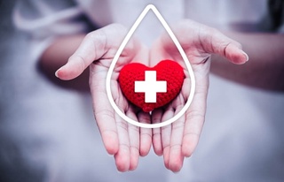 Донорнинг қонуний ҳуқуқи тикланди