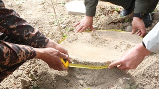 Daraxtlarni kesganlarga ozodlikni cheklash jazosi berildi