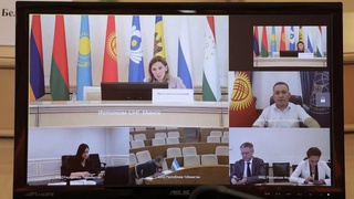 Эксперты стран СНГ обсудили проект Заявления глав государств в связи с 30-летием Содружества