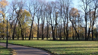 Прогноз погоды на 23 февраля