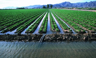 В Узбекистане внедряется эффективная система управления водными ресурсами