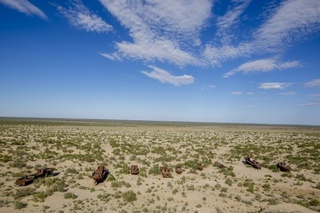 Оролнинг артемия цисталари