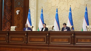 Сенат Конституция бўйича референдум ўтказишни маъқуллади