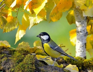 Weather forecast for September 22