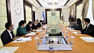 Адлия вазири БМТ Махсус маърузачиси  Фионулла Ни Аолайн билан учрашди