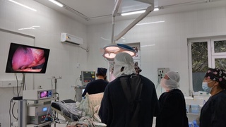 Сирдарёда илк маротаба қизилўнгачда лапароскопия усулда операция ўтказилди