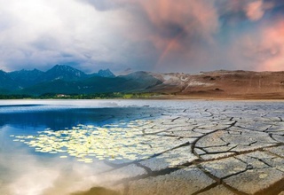 БМТ: Сўнгги ўн йиллик Ер тарихидаги энг иссиқ давр бўлди