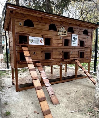 В Учтепинском районе Ташкента появился «отель» для кошек