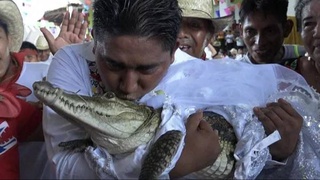 Мэр мексиканского города сыграл свадьбу с крокодилом