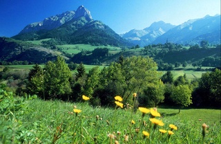 Weather forecast for May 8