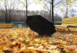 Прогноз погоды на день 4 декабря