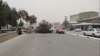 Қашқадарёда қум бўрони кузатилди