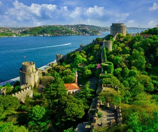 Lola va mimoza festivali