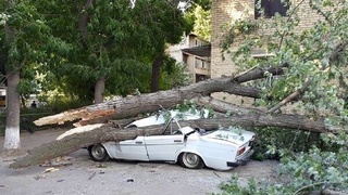 Avtomobillarni xavfsiz joylarga qoʻyish tavsiya etiladi