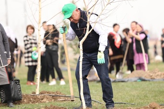 Toshkent viloyatida “Yashil makon” umummilliy loyihasining bahorgi mavsumiga start berildi