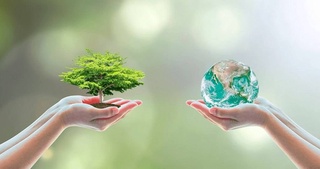 "Қоршаған орталықты қорғаў ҳәм "жасыл экономика" жылына мөлшерленген мәмлекетлик бағдарлама қабыл етилди