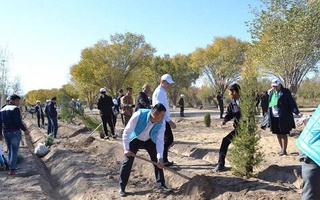 В 14 регионах республики в рамках общенационального проекта «Яшил макон» стартовали «Ударные 40 дней»