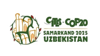 Самарқанд CITES тәреплериниң 20-конференциясы ушын майдан болады: дүнья жәмийетшилиги жабайы тәбиятты сақлап қалыў мәселесин додалайды