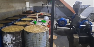 Kattaqoʻrgʻonda noqonuniy moy ishlab chiqarish sexini tashkil etgan “tadbirkor” aniqlandi