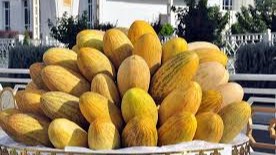 Ўзбекистон Ригага 18 тонна қовун экспорт қилди