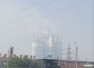 Navoiy shahrida kuzatilgan oq tutun yuzasidan ekologik tahlillar oʻtkazildi