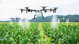 The use of drones in agriculture in Uzbekistan will expand