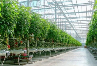 Қишлоқда кластер тизими — аграр секторининг асосий ўсиш нуқтаси