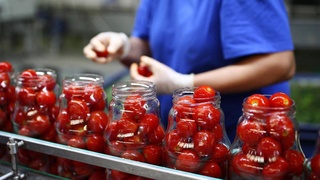 В Джизакской области запускается новый завод по глубокой переработке плодоовощной продукции