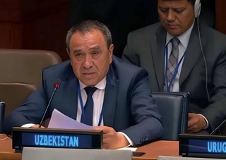 Усилия Узбекистана по озеленению представлены на Форуме ООН высокого уровня