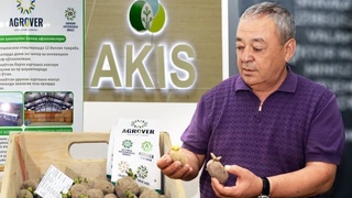 Юкоричирчикский район: векторы успешного развития